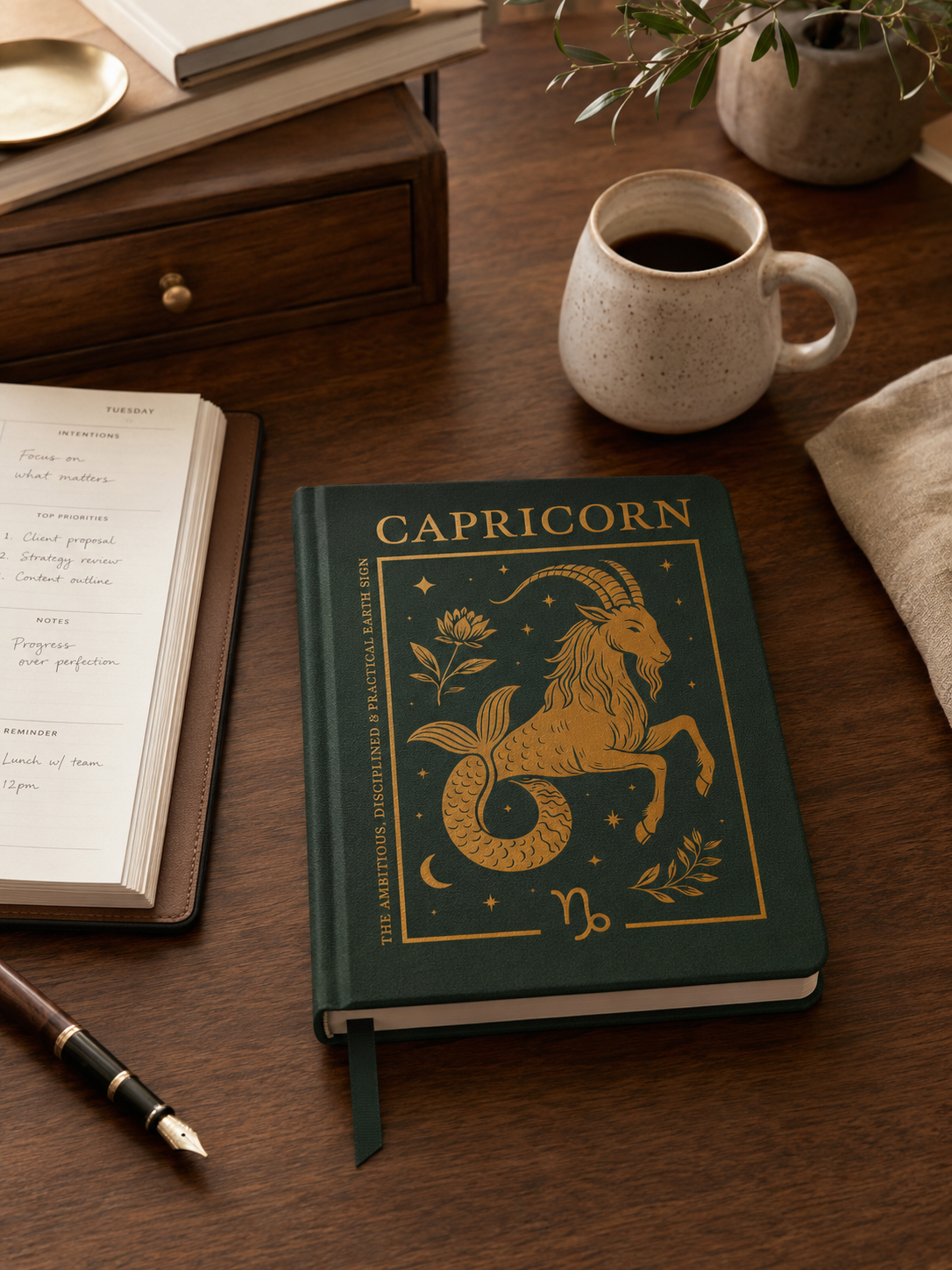 Capricorn ~ The Ambitious One